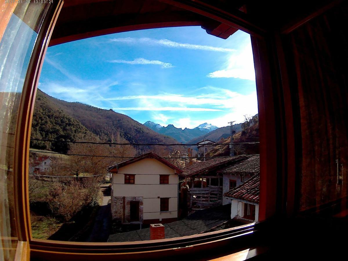 Apartamentos Casa Celia La Vega  エクステリア 写真